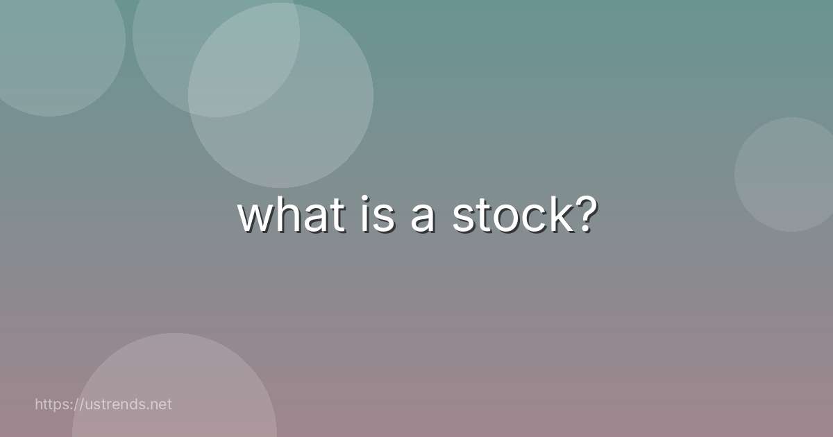 what is a stock?