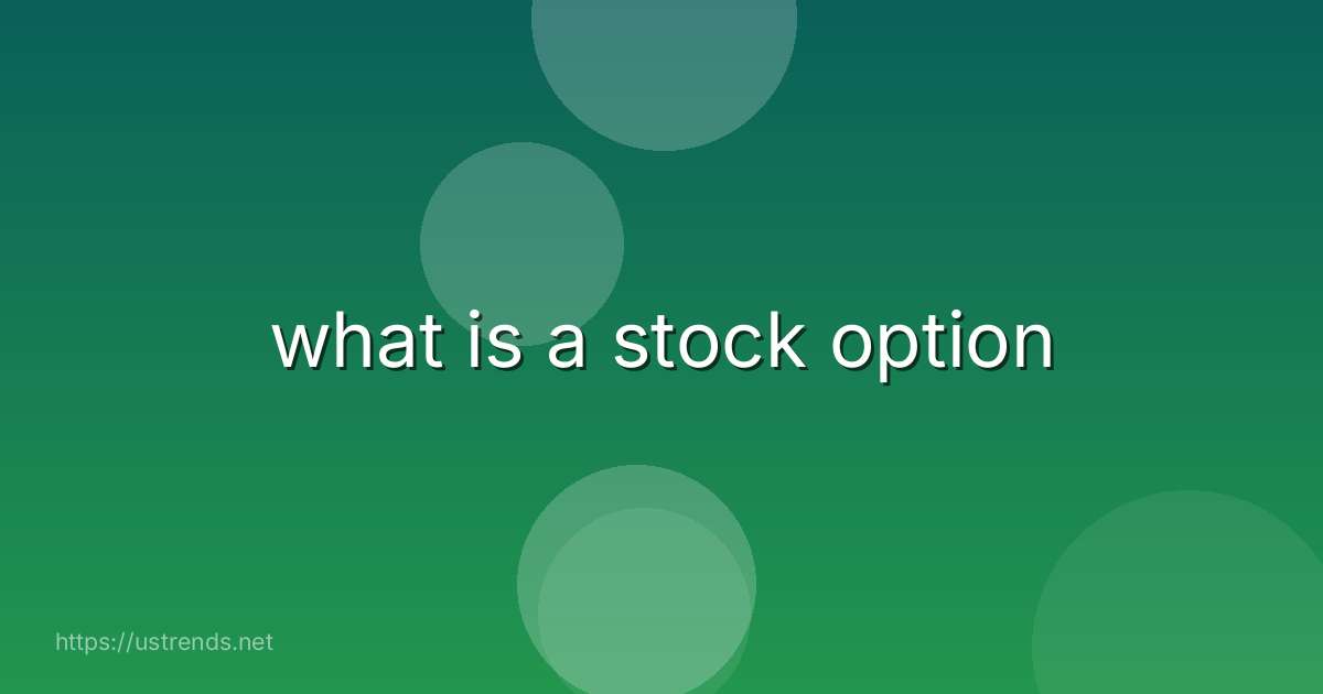 what is a stock option
