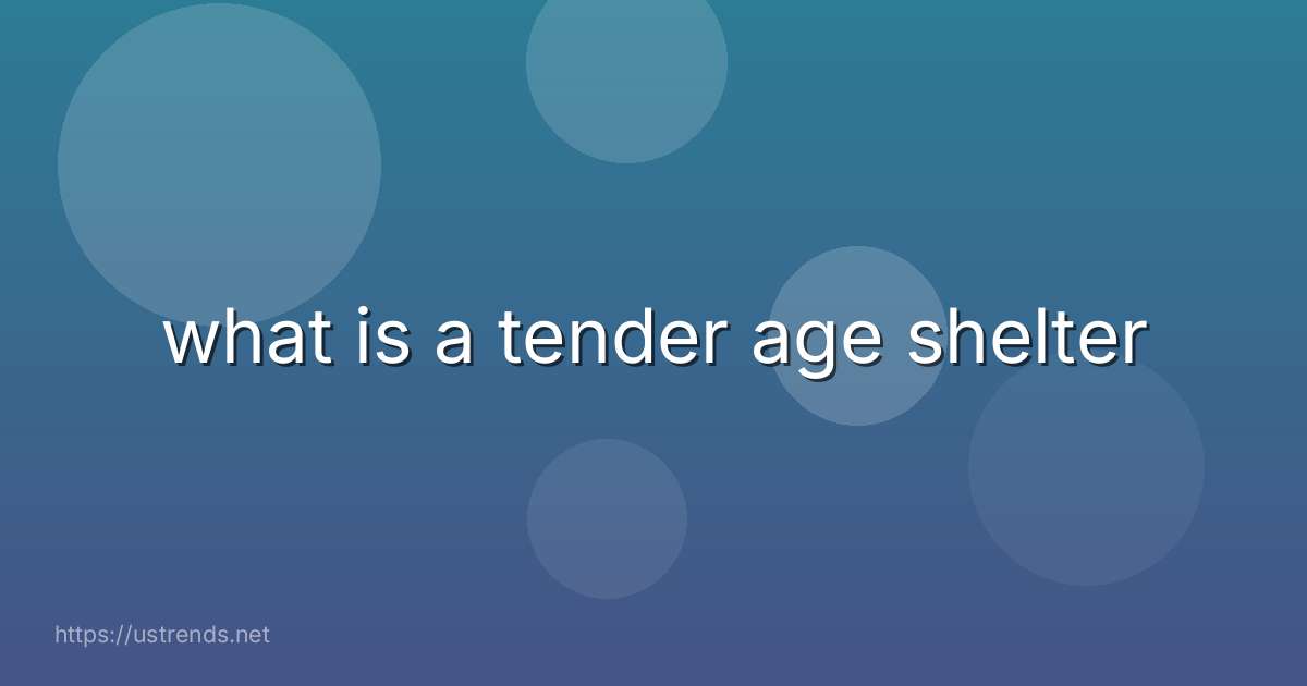 what is a tender age shelter