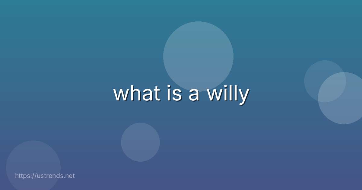 what is a willy