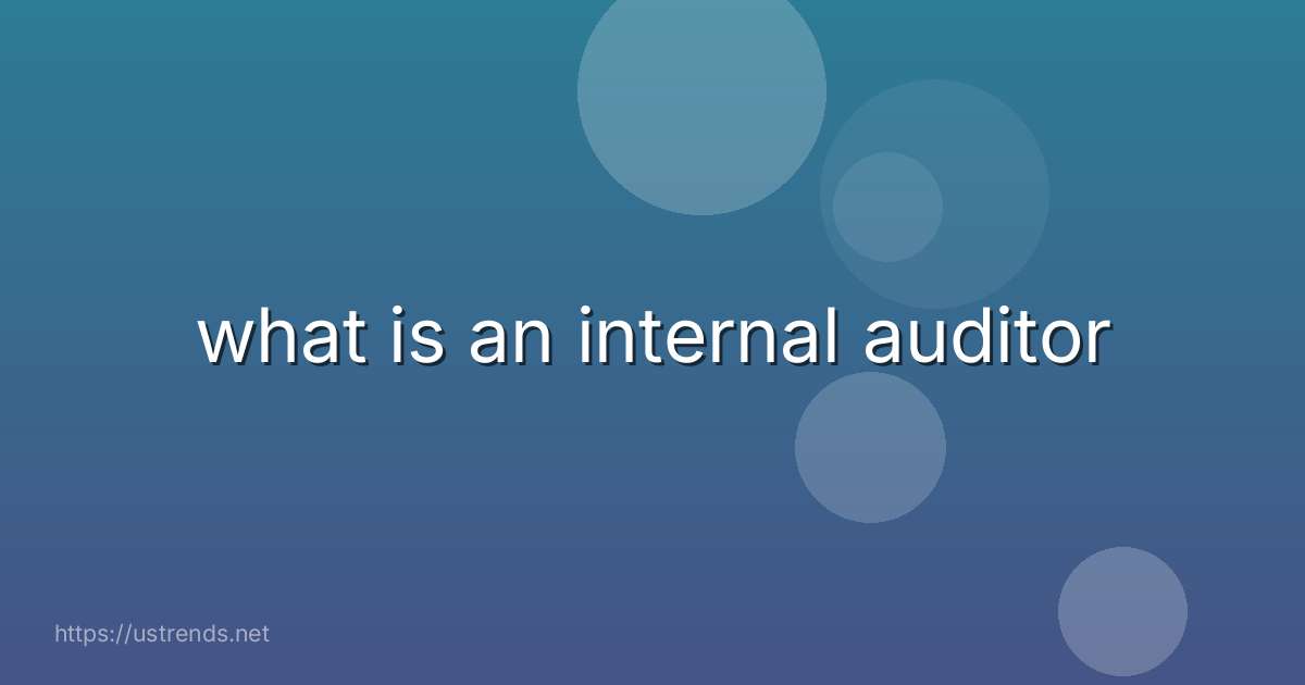 what is an internal auditor