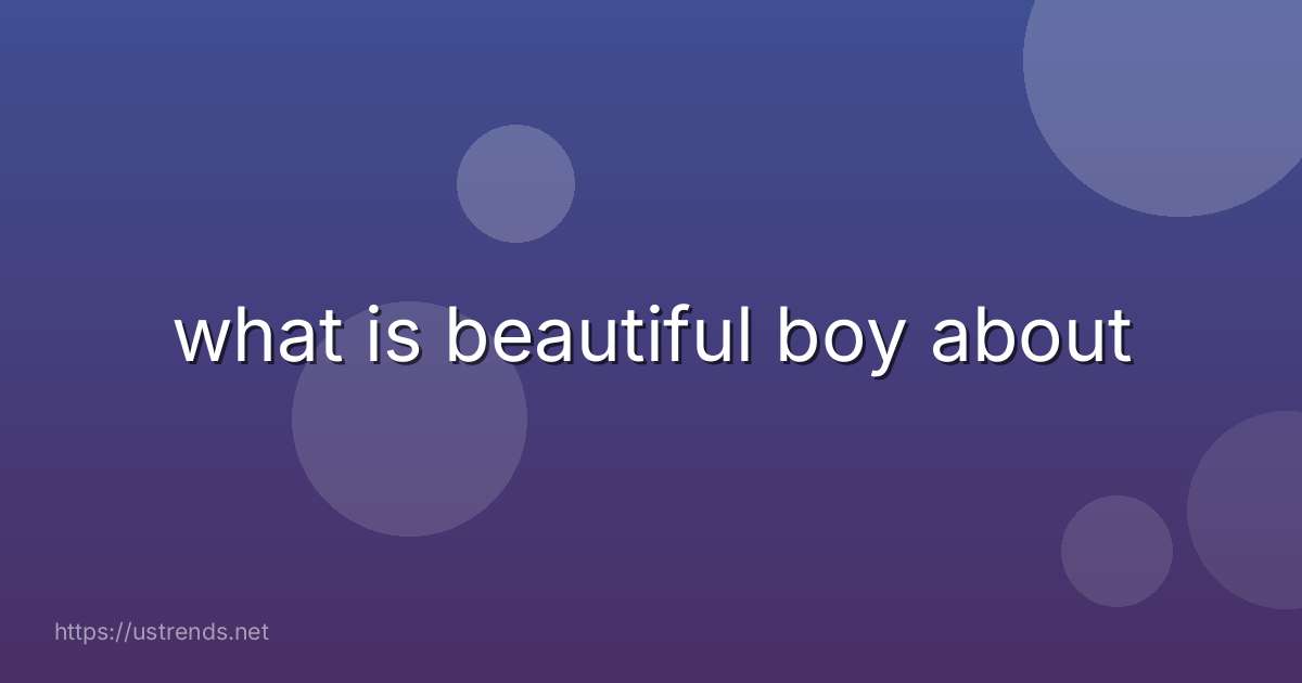what is beautiful boy about