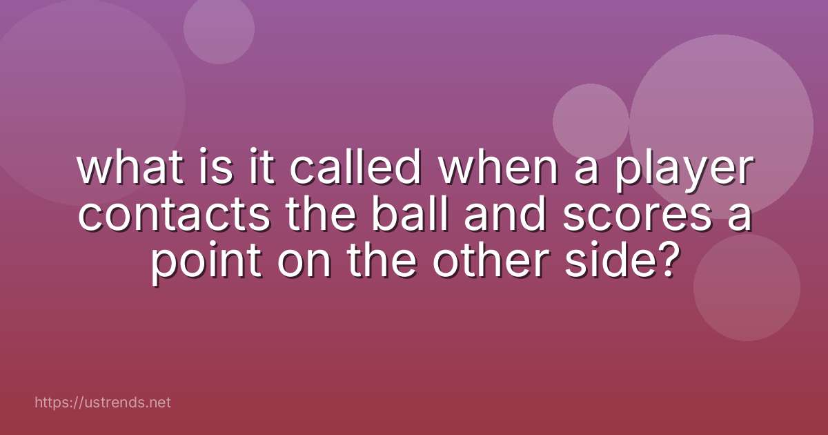 what is it called when a player contacts the ball and scores a point on the other side?