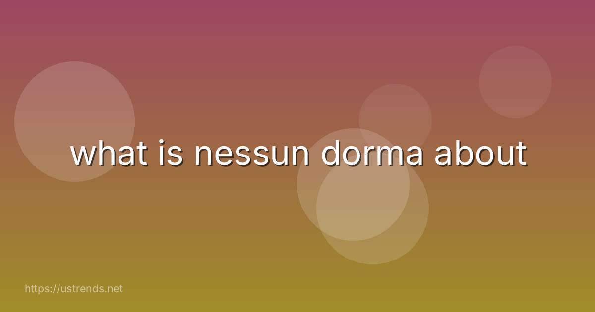 what is nessun dorma about