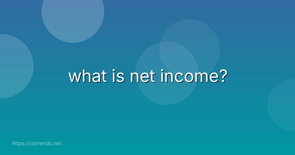 what is net income?