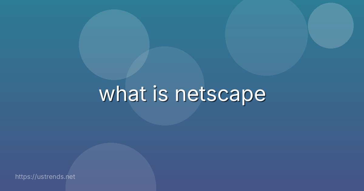 what is netscape