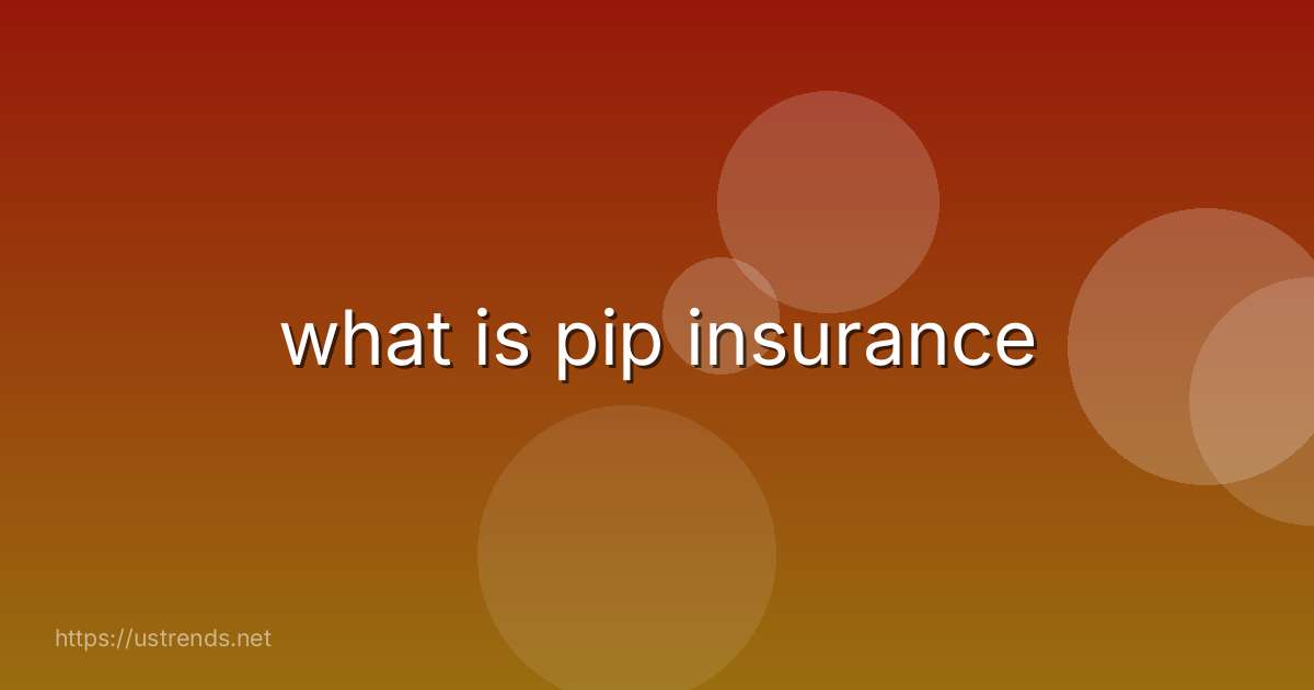 what is pip insurance