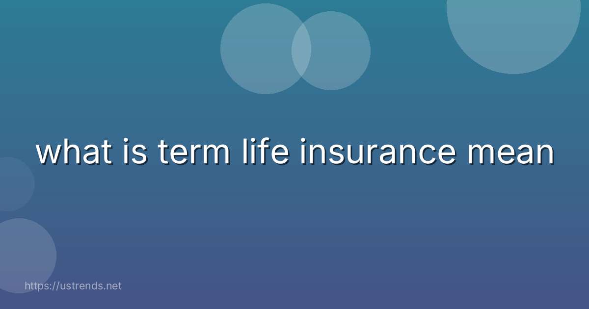 what is term life insurance mean