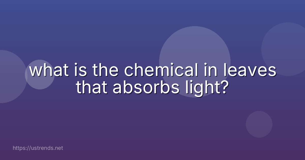 what is the chemical in leaves that absorbs light?