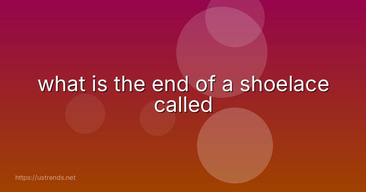 what is the end of a shoelace called