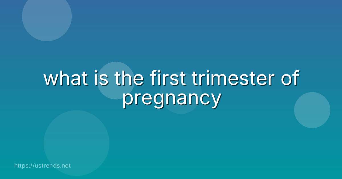 what is the first trimester of pregnancy
