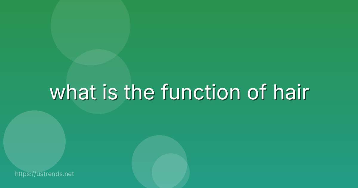 what is the function of hair