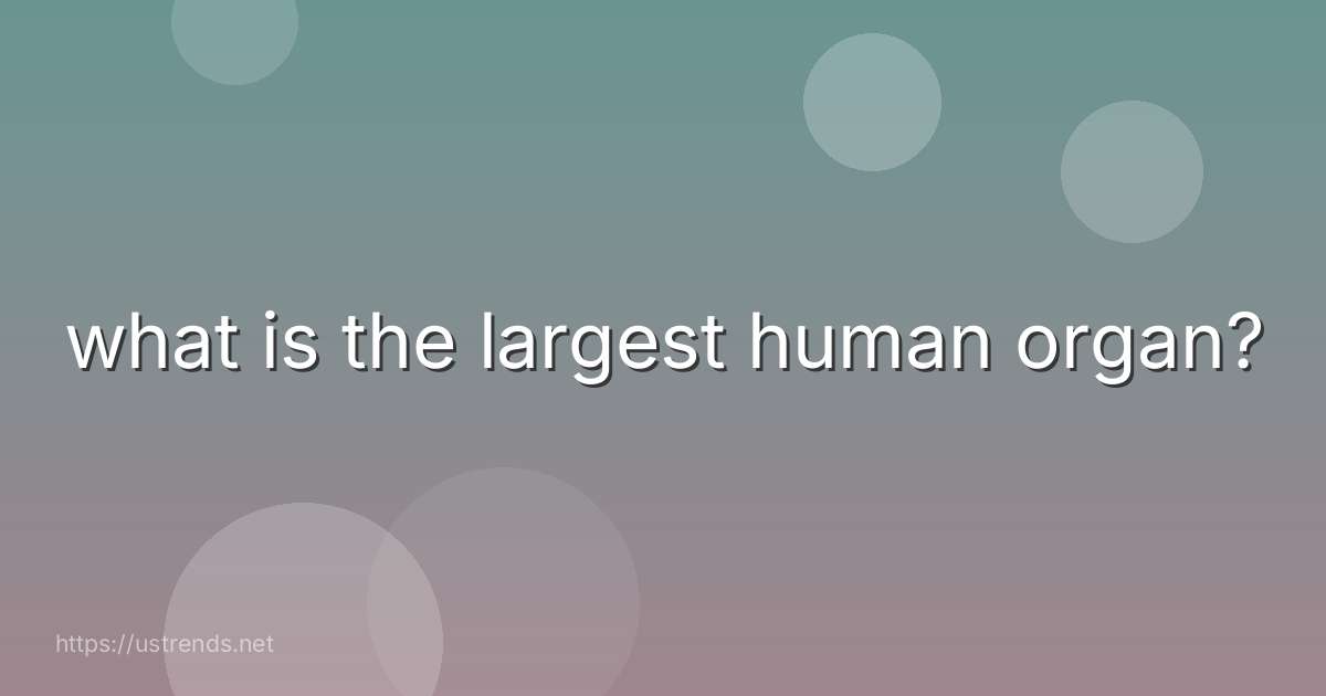 what is the largest human organ?