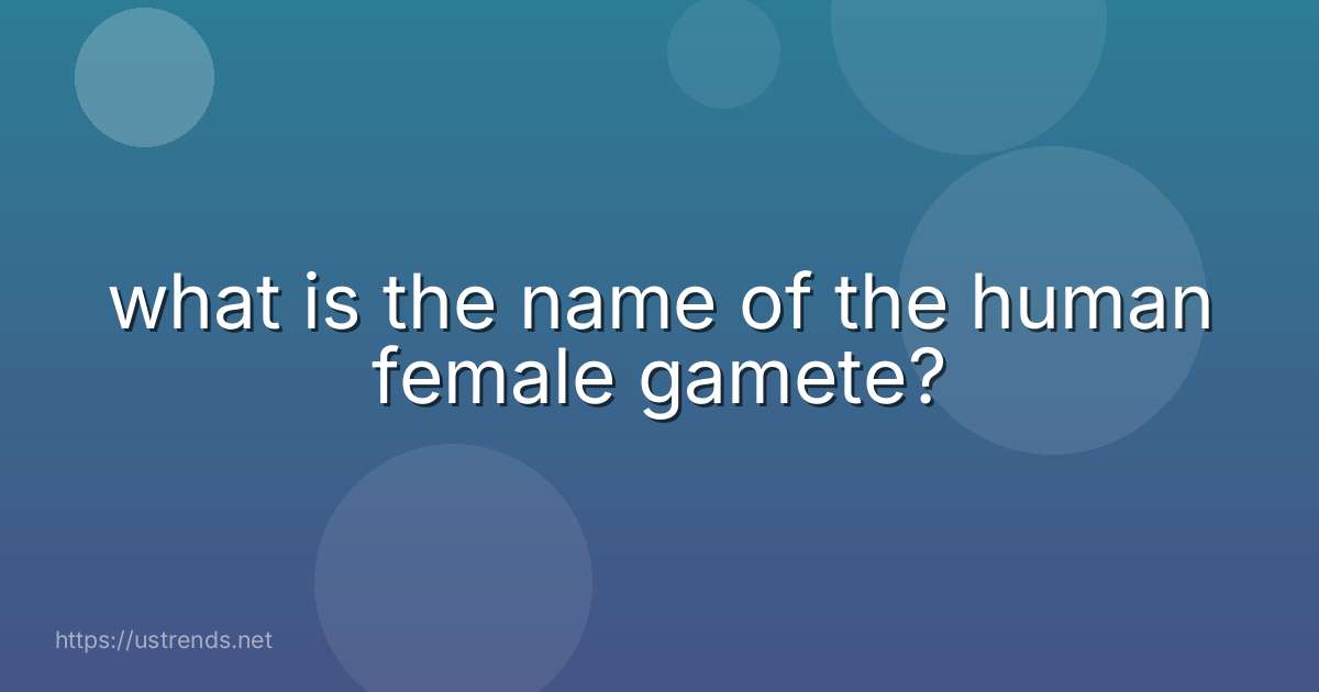 what is the name of the human female gamete?