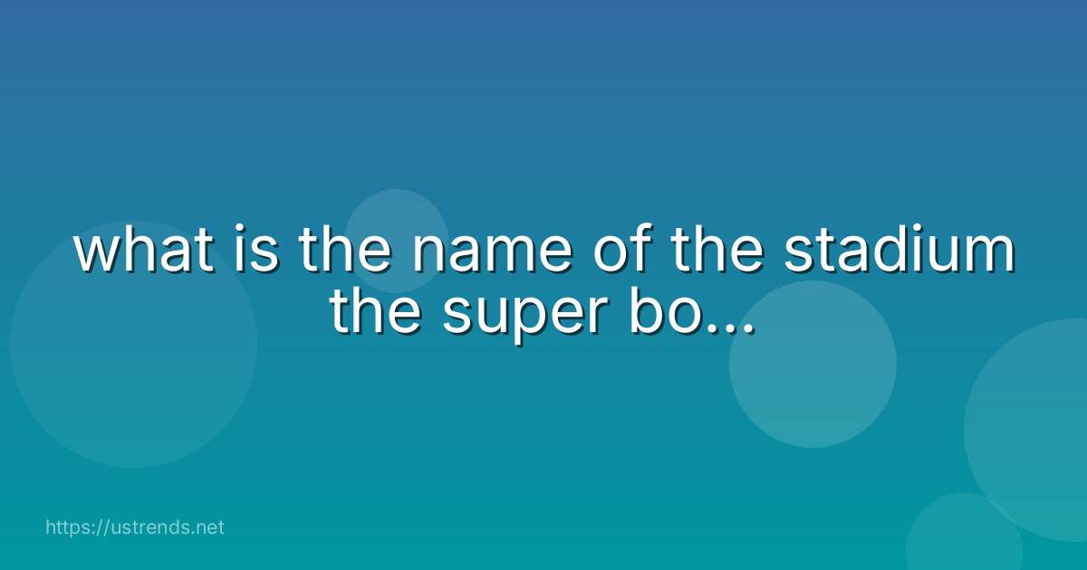 what is the name of the stadium the super bo...