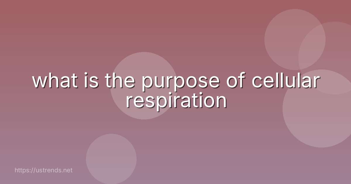 what is the purpose of cellular respiration