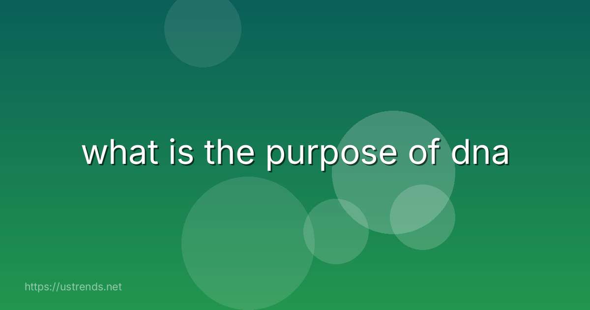 what is the purpose of dna