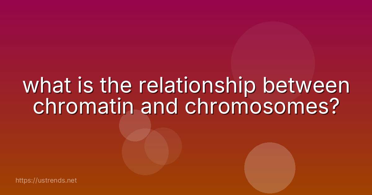what is the relationship between chromatin and chromosomes?