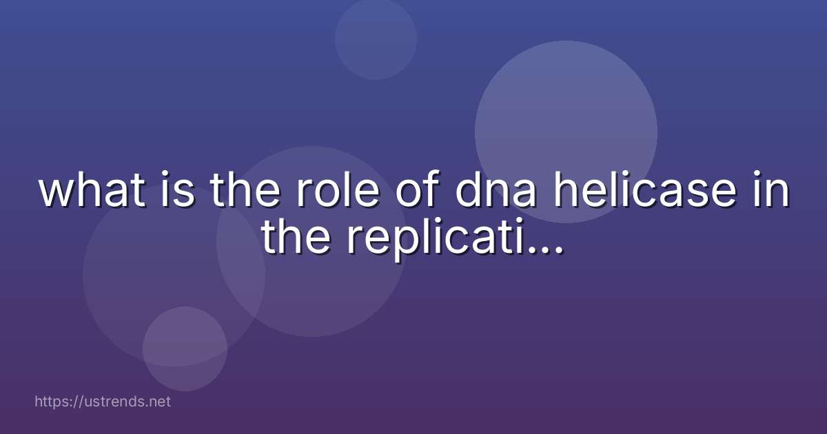 what is the role of dna helicase in the replicati...