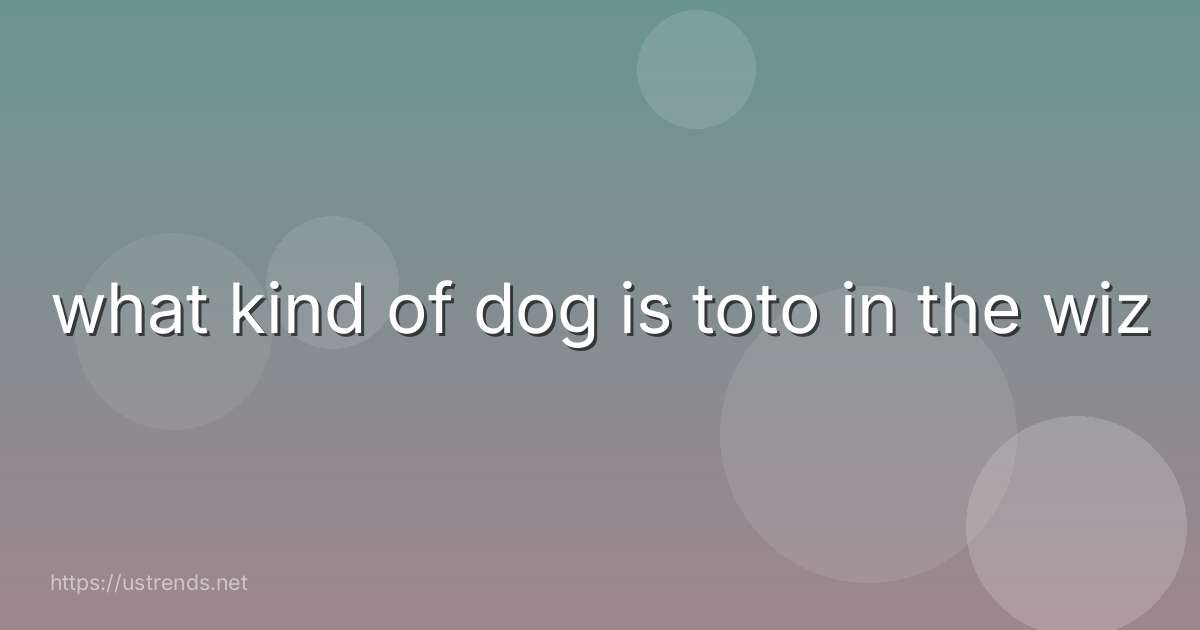 what kind of dog is toto in the wiz