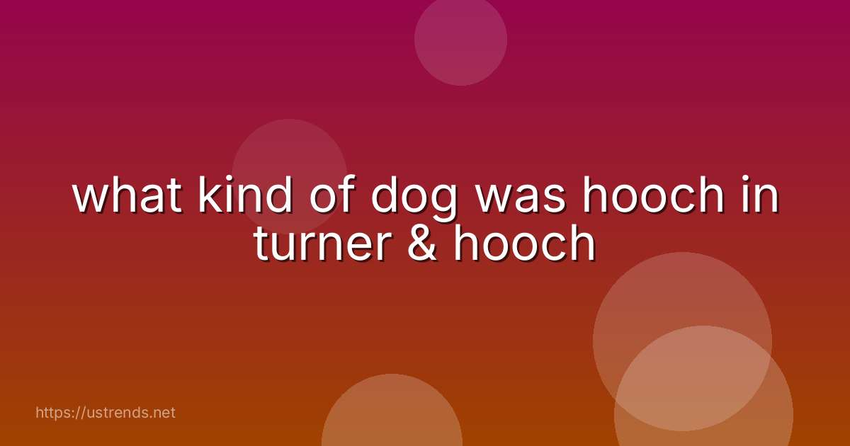 what kind of dog was hooch in turner & hooch