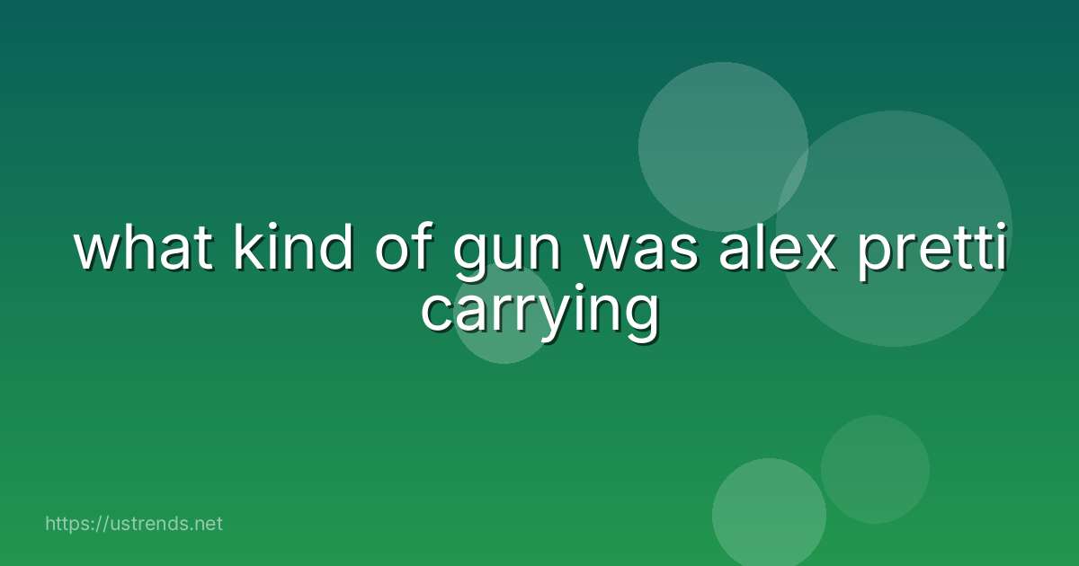 what kind of gun was alex pretti carrying