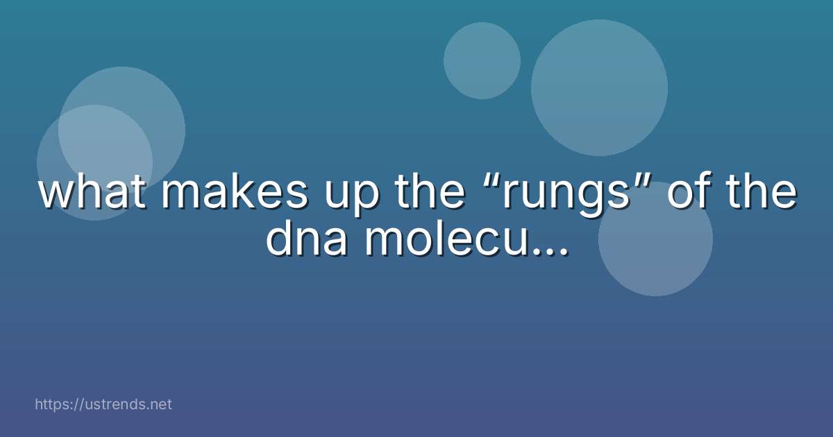 what makes up the “rungs” of the dna molecu...