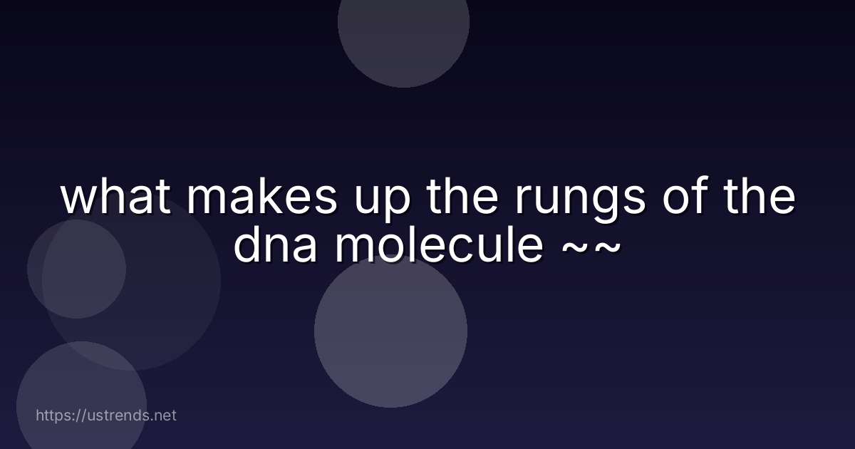 what makes up the rungs of the dna molecule ~~