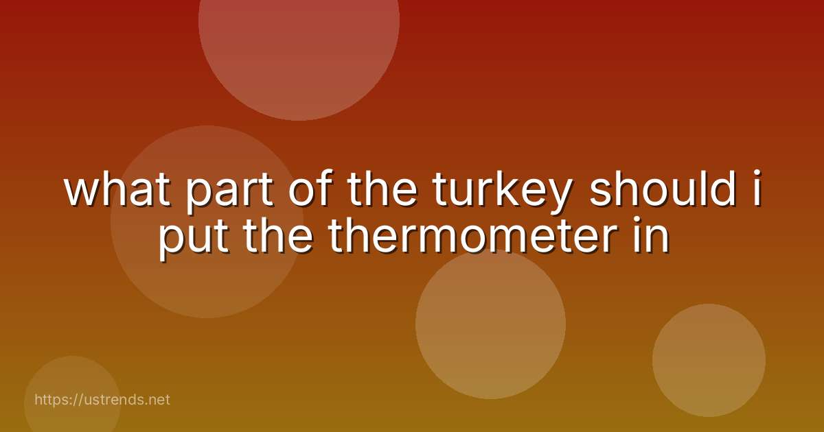 what part of the turkey should i put the thermometer in