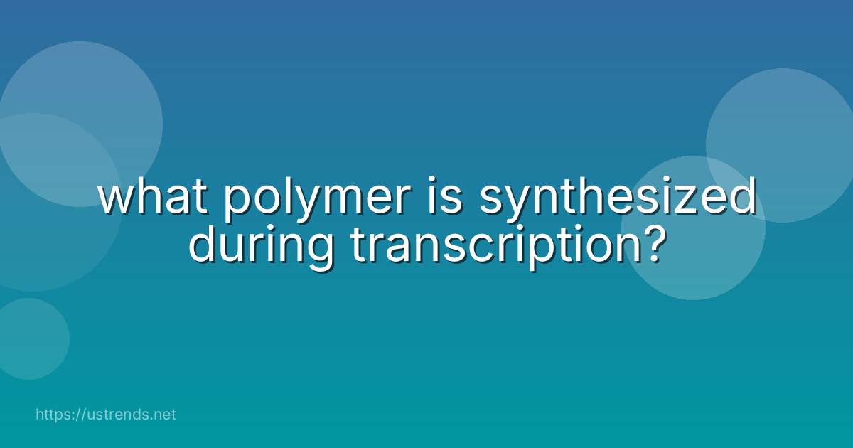 what polymer is synthesized during transcription?