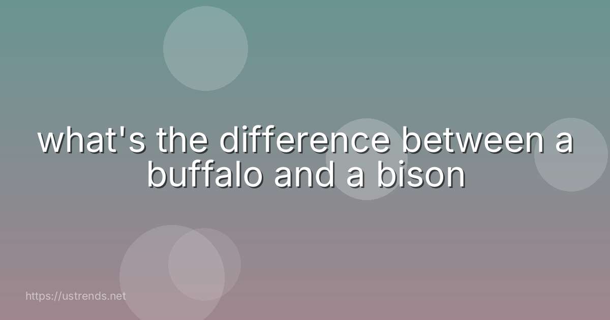 what's the difference between a buffalo and a bison