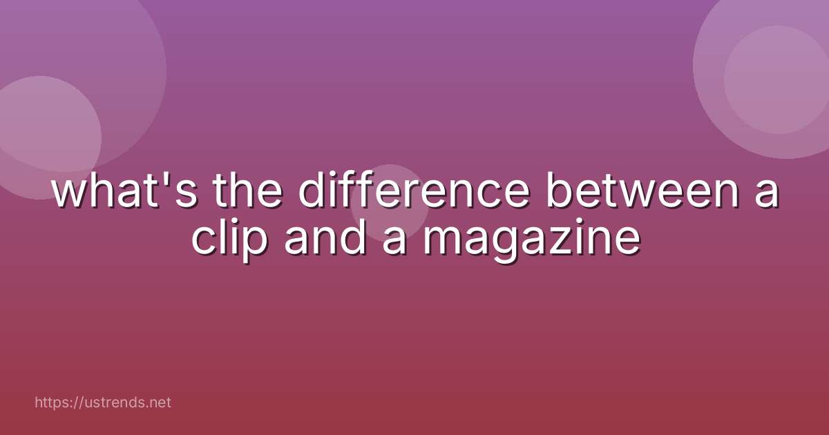 what's the difference between a clip and a magazine