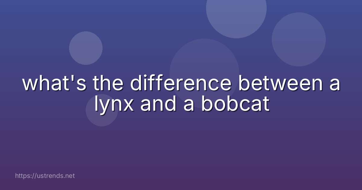 what's the difference between a lynx and a bobcat