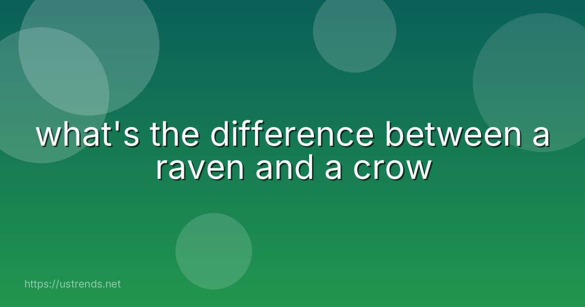 what's the difference between a raven and a crow