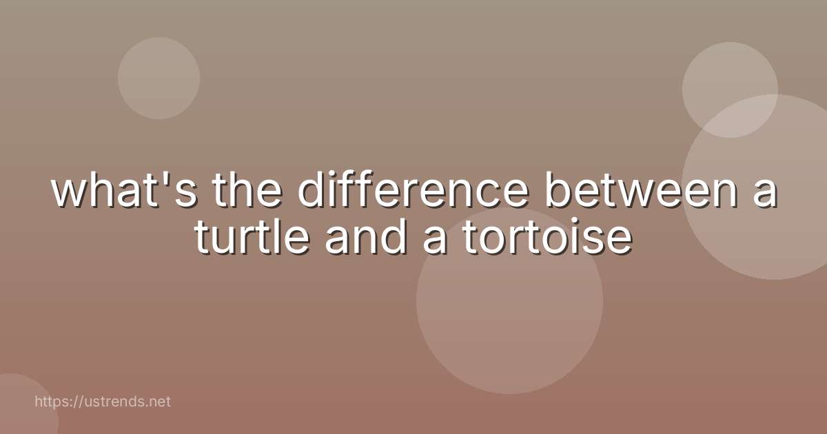 what's the difference between a turtle and a tortoise