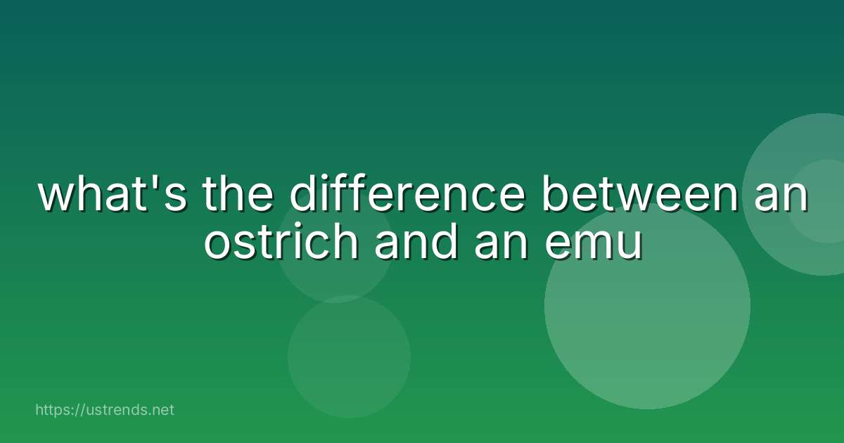 what's the difference between an ostrich and an emu