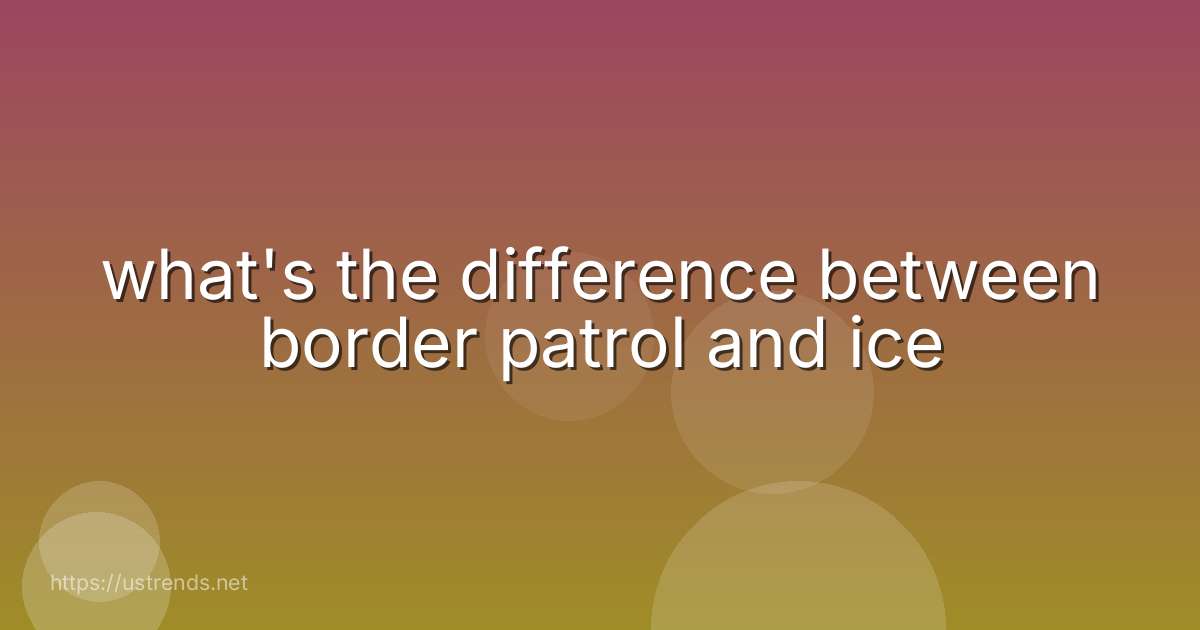 what's the difference between border patrol and ice