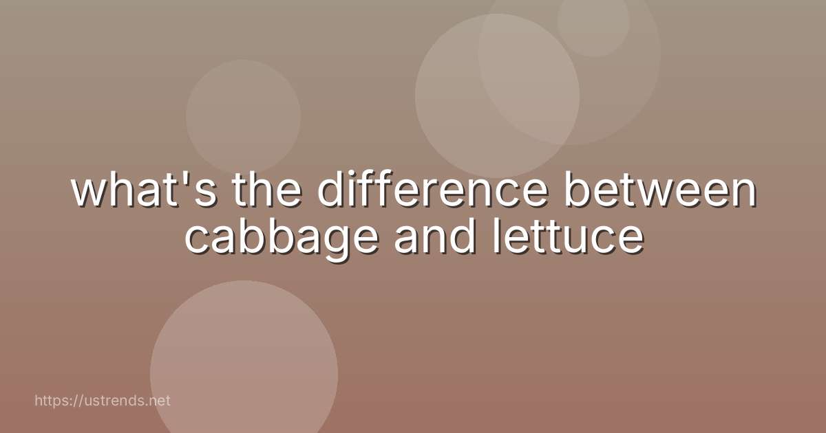what's the difference between cabbage and lettuce