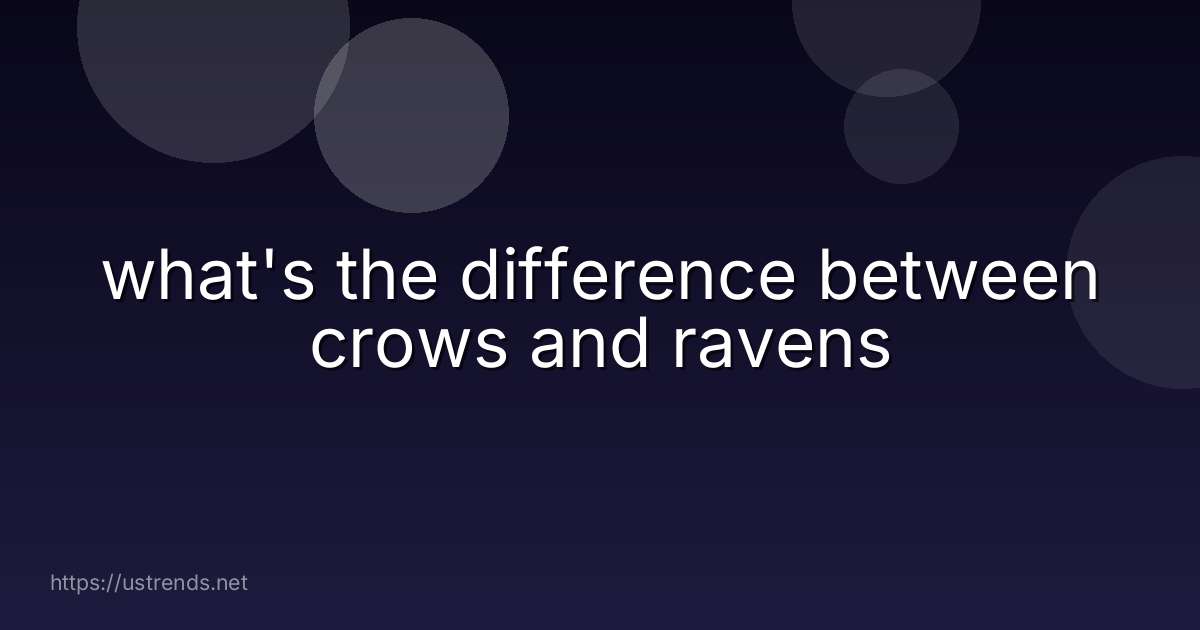 what's the difference between crows and ravens