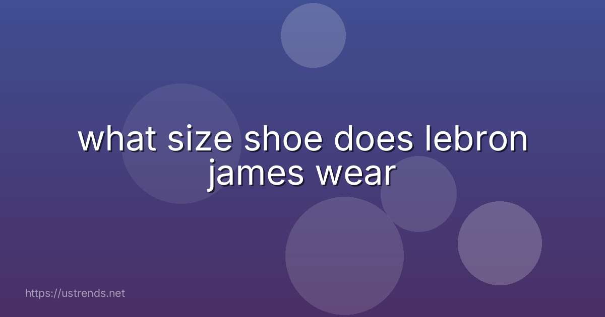 what size shoe does lebron james wear