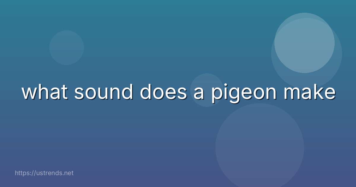 what sound does a pigeon make