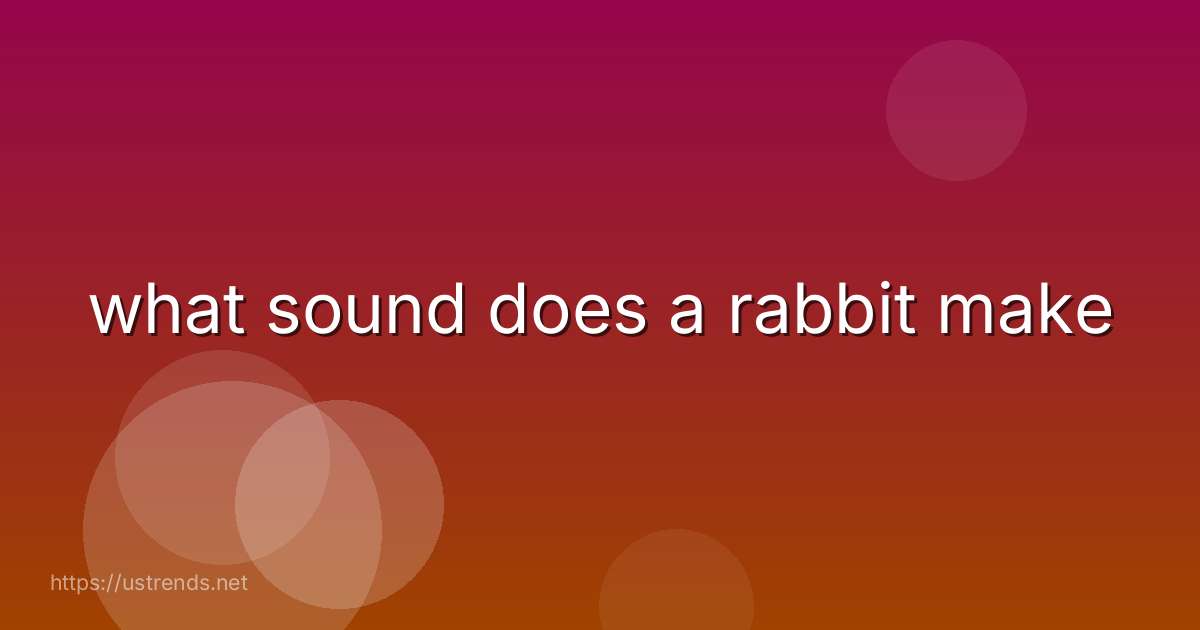what sound does a rabbit make