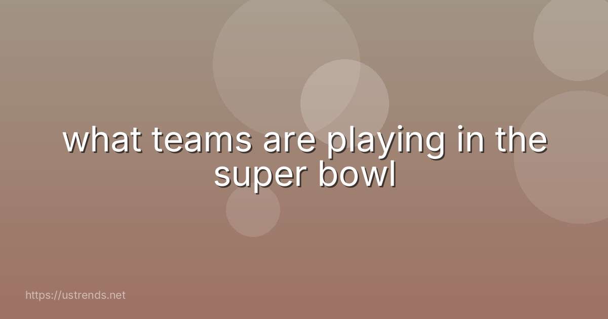 what teams are playing in the super bowl