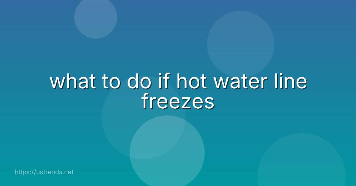 what to do if hot water line freezes