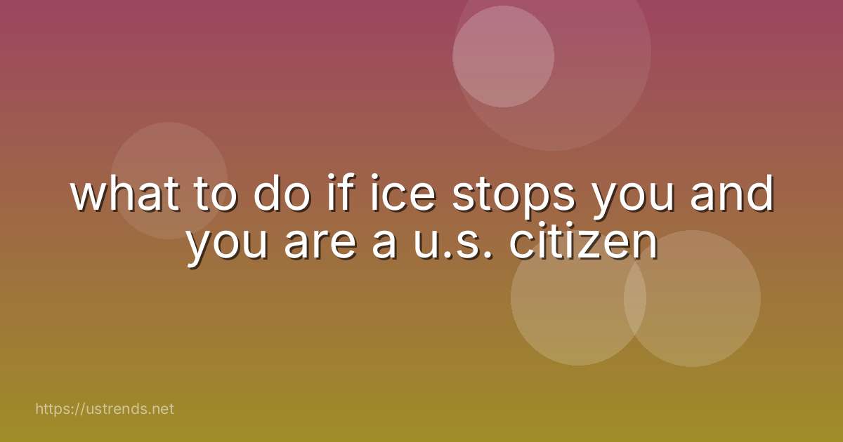 what to do if ice stops you and you are a u.s. citizen