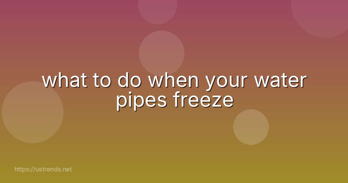 what to do when your water pipes freeze