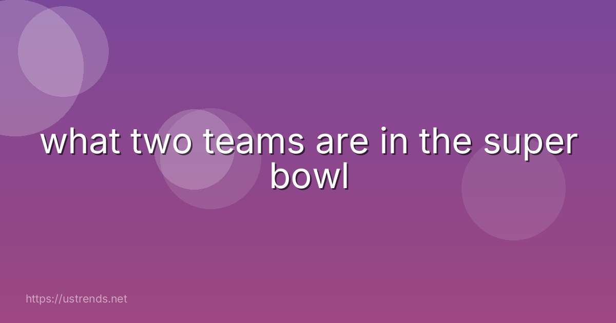 what two teams are in the super bowl