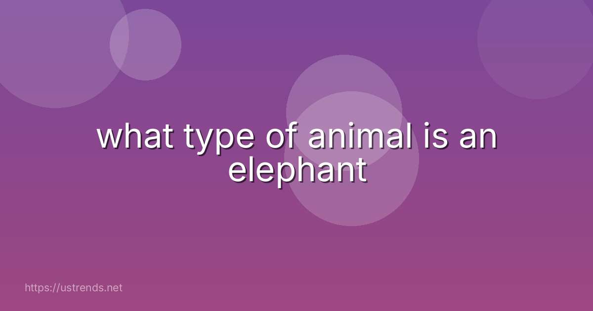 what type of animal is an elephant