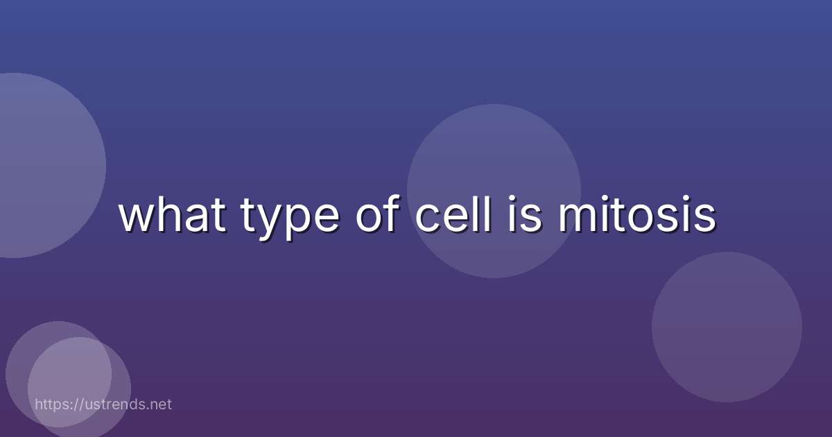 what type of cell is mitosis