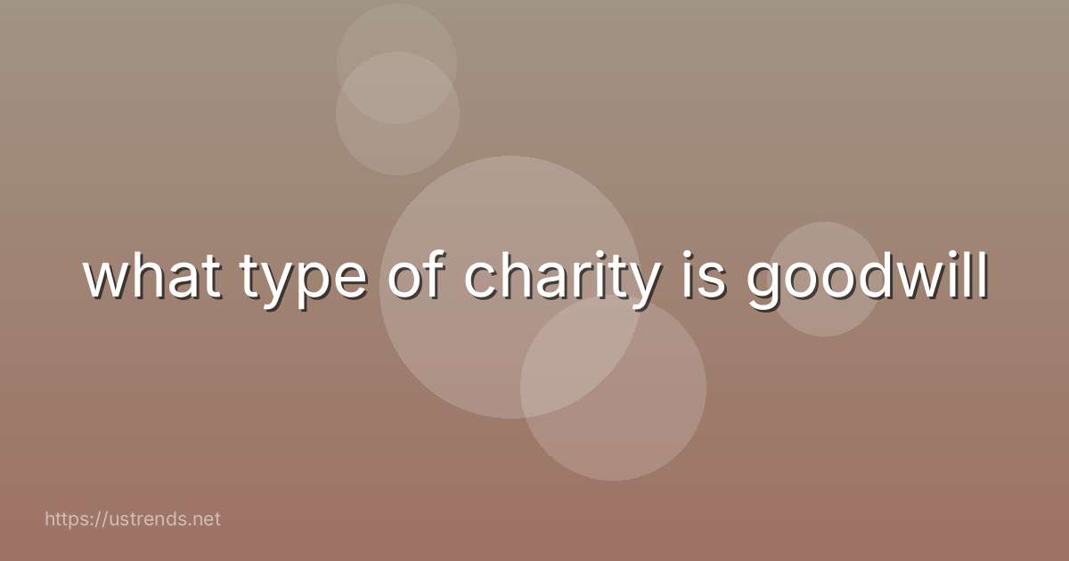 what type of charity is goodwill